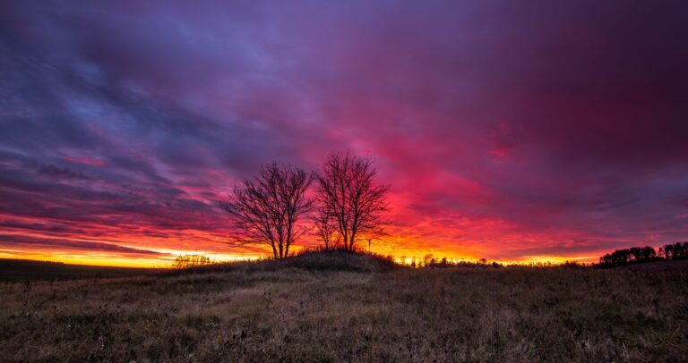 تبييت النية للصيام 5 تبييت النية للصيام