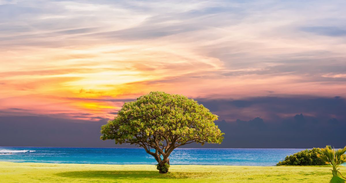 حرص الصحابة على حفظ السنة النبوية وصيانتها