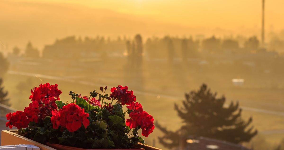 آداب الأمر بالمعروف والنهي عن المنكر