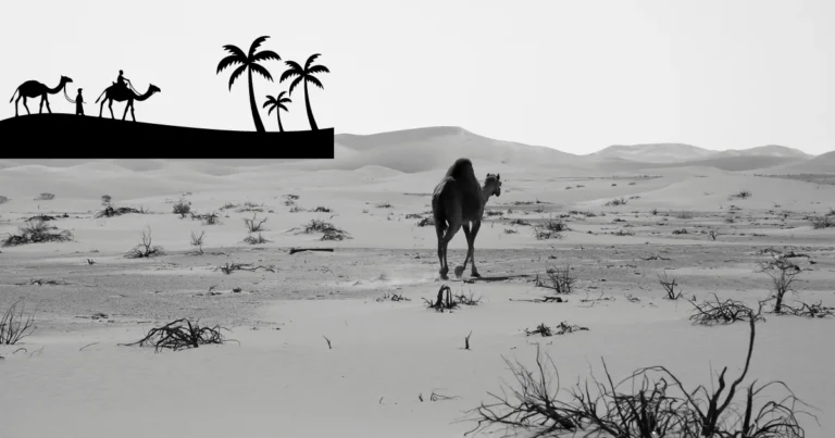 أمية النبي وأمية العرب ومعنى وصف الأمية 11 أمية النبي وأمية العرب ومعنى وصف الأمية