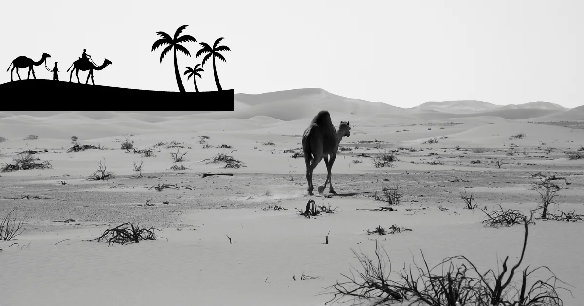 أمية النبي وأمية العرب ومعنى وصف الأمية